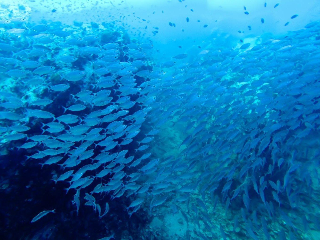 河清海晏